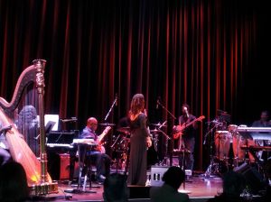 Karen Briggs on stage with band